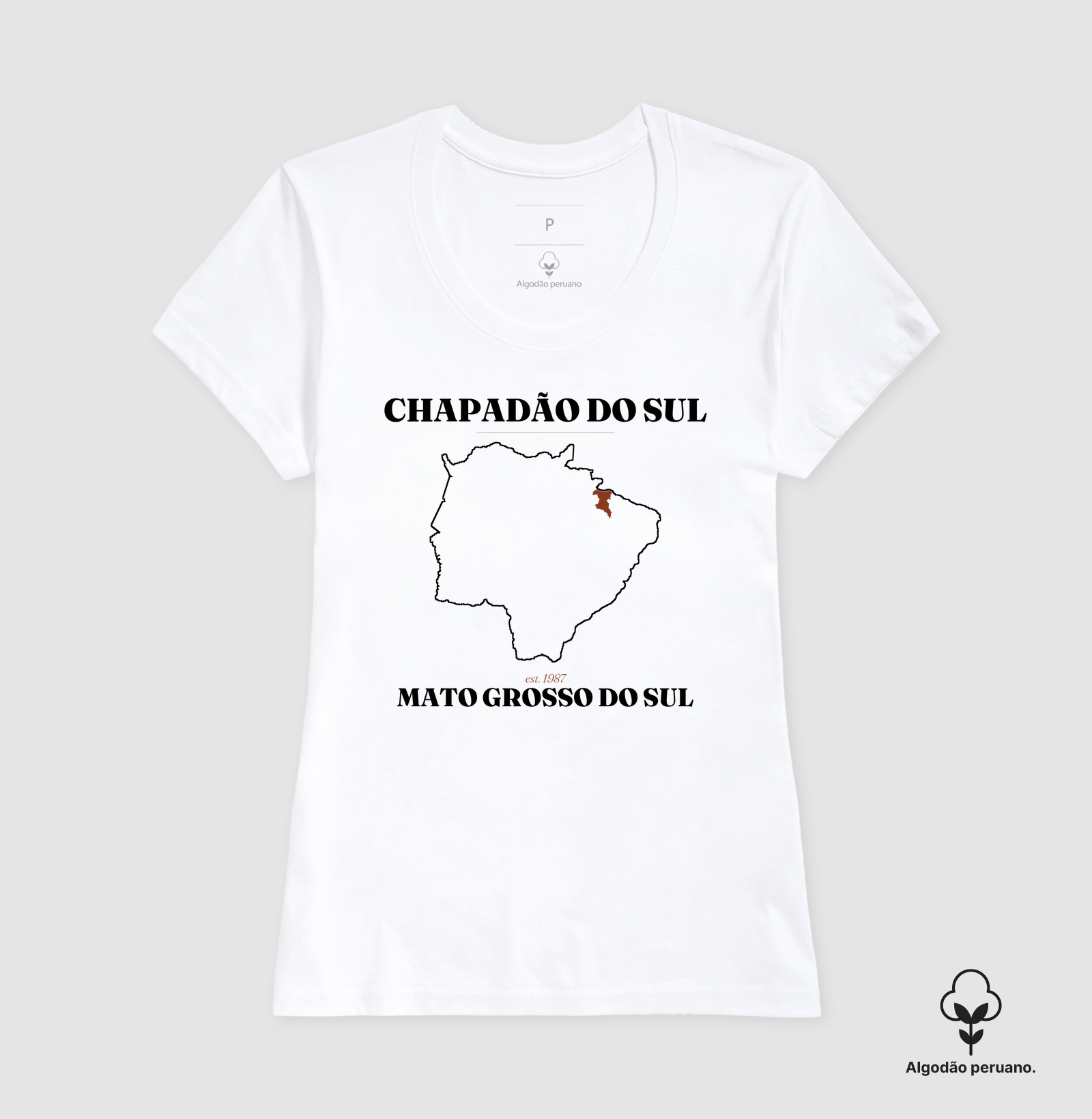 Chapadão do Sul | Legado MS - Imagem 3