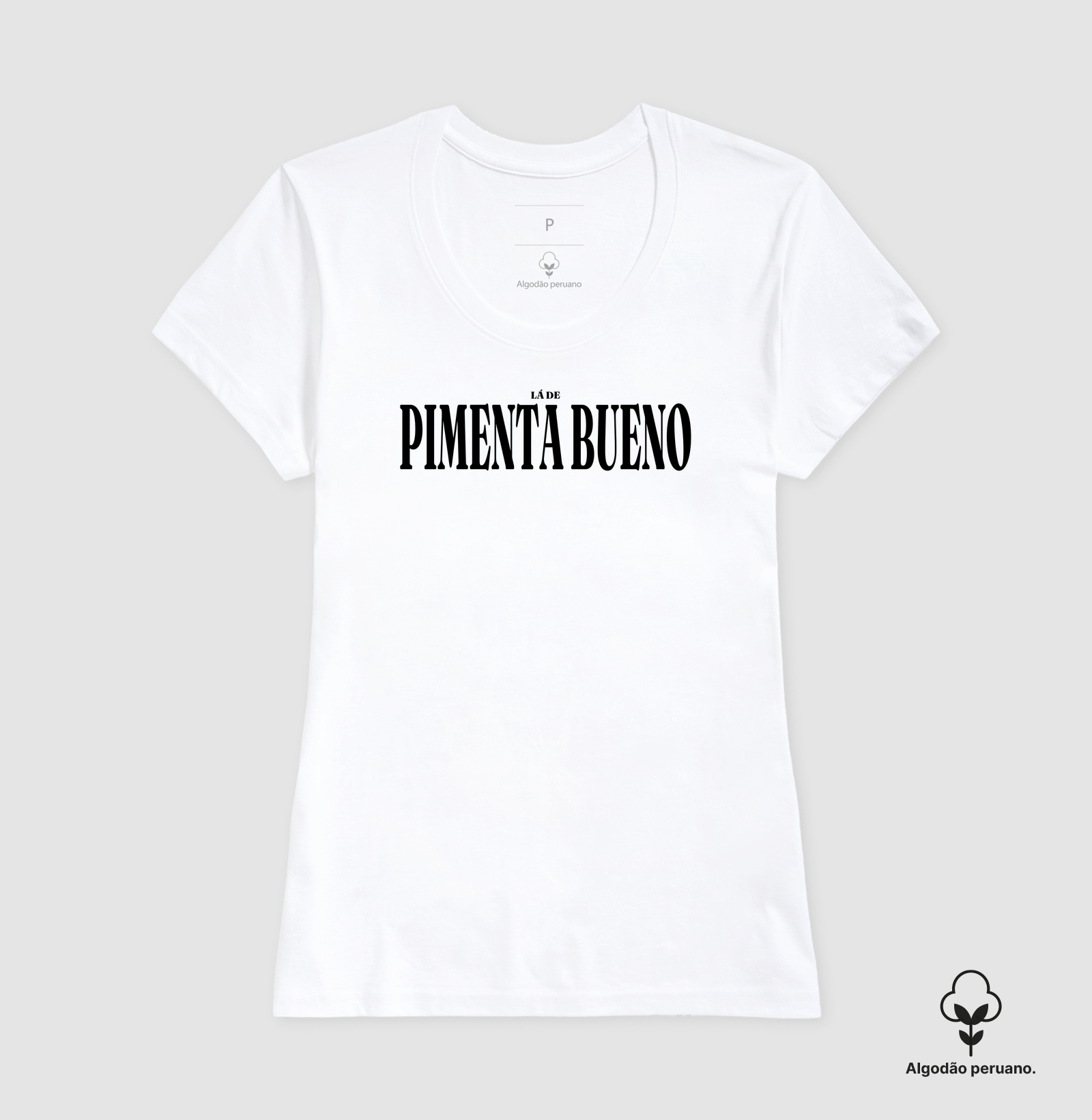 Pimenta Bueno | Tipografia RO - Imagem 8