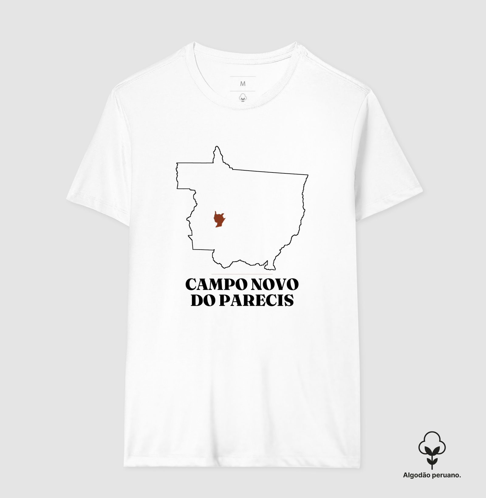 Campo Novo do Parecis | Traço MT - Imagem 5