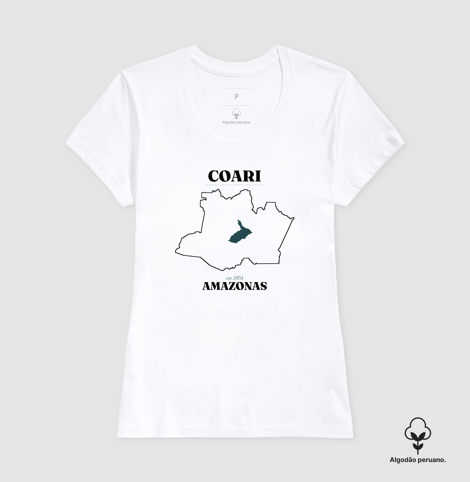 Coari | Legado AM - Imagem 3