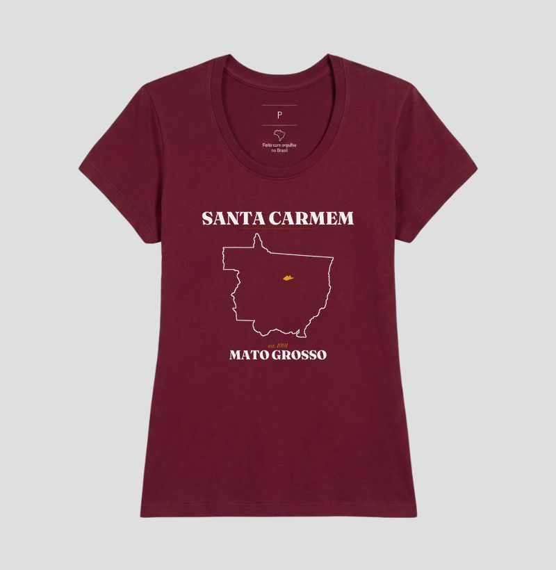 Santa Carmem | Legado MT - Imagem 19