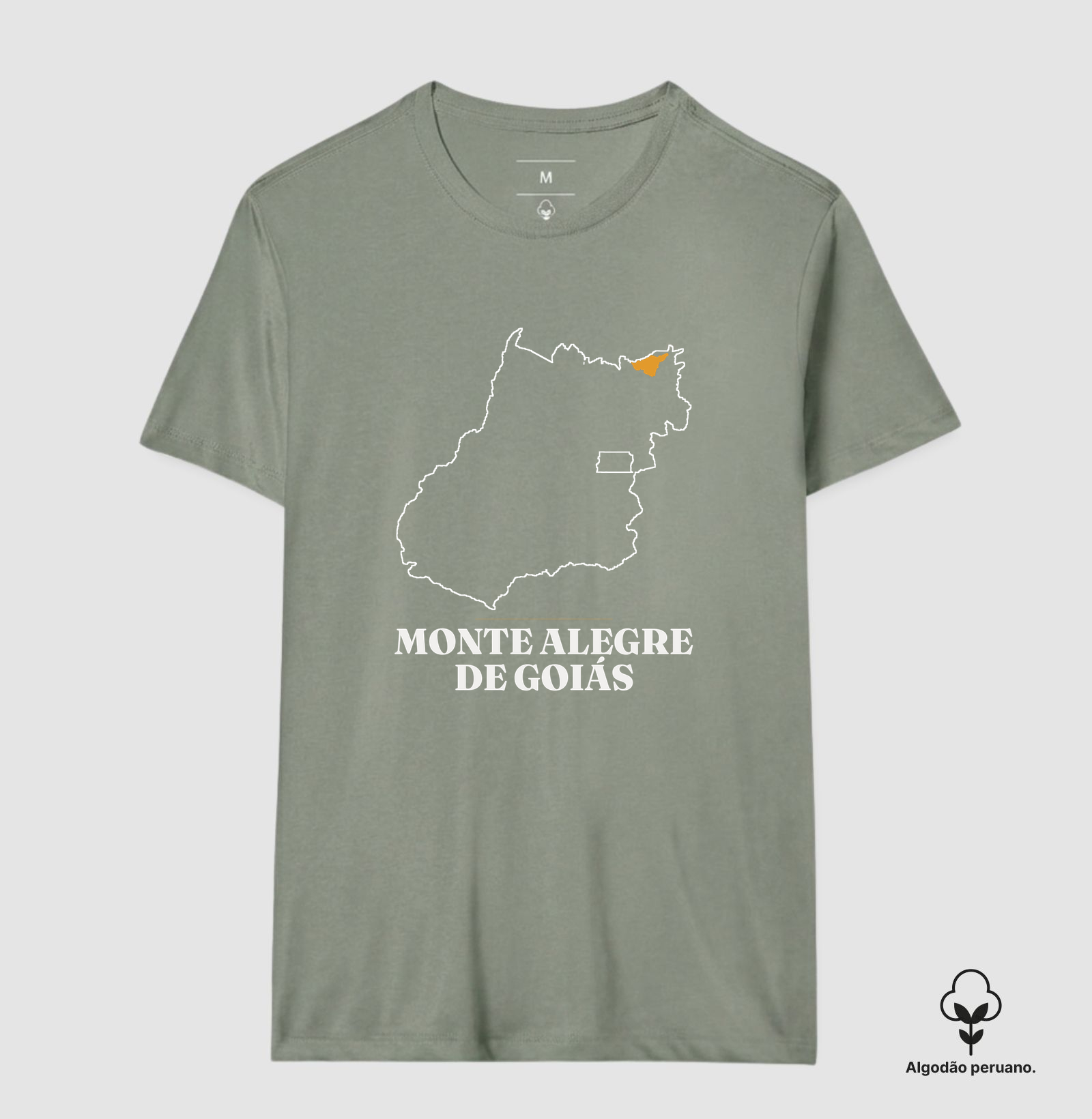 Monte Alegre de Goiás | Traço GO - Imagem 9