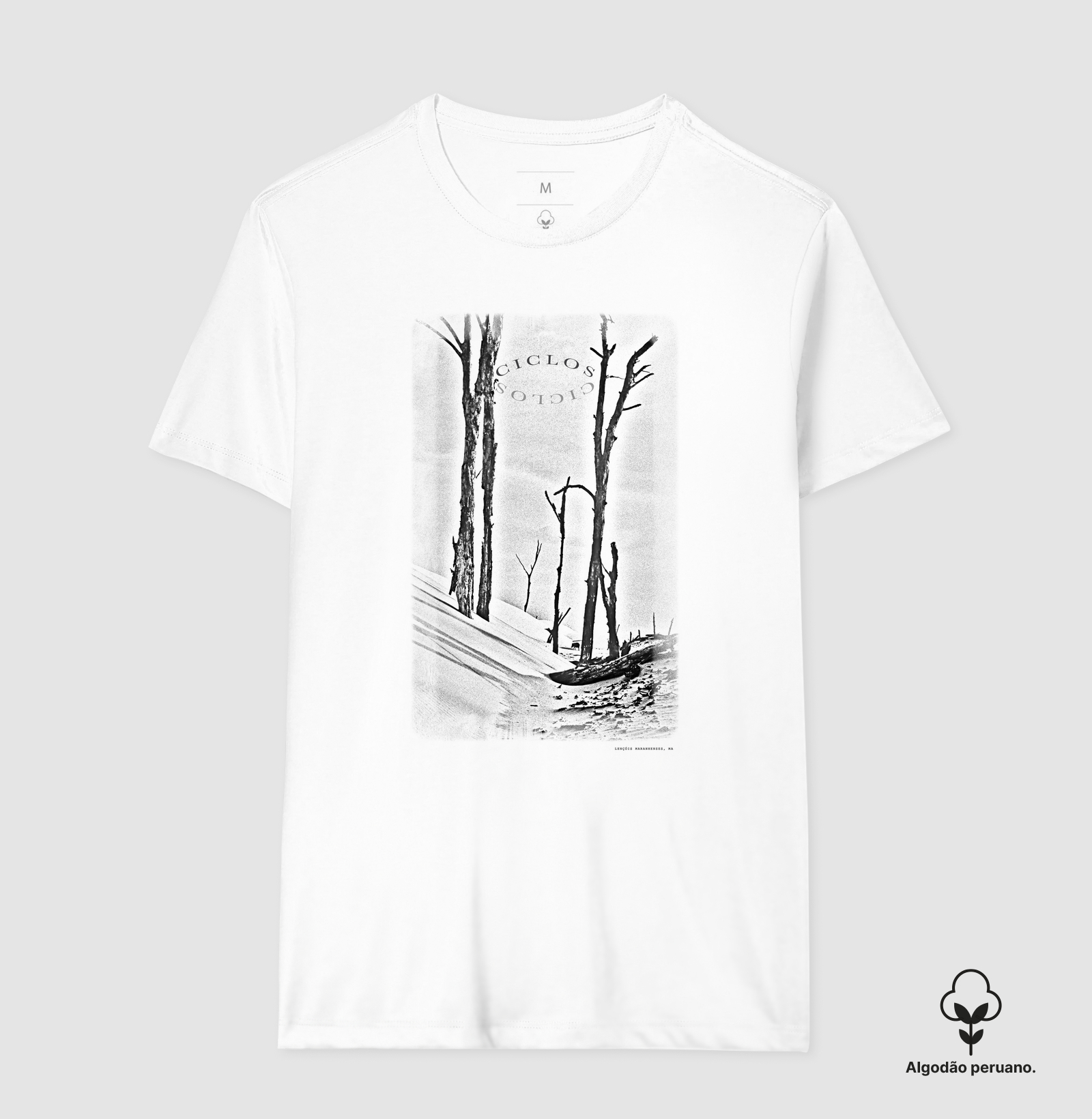 Ciclos - Imagem 2