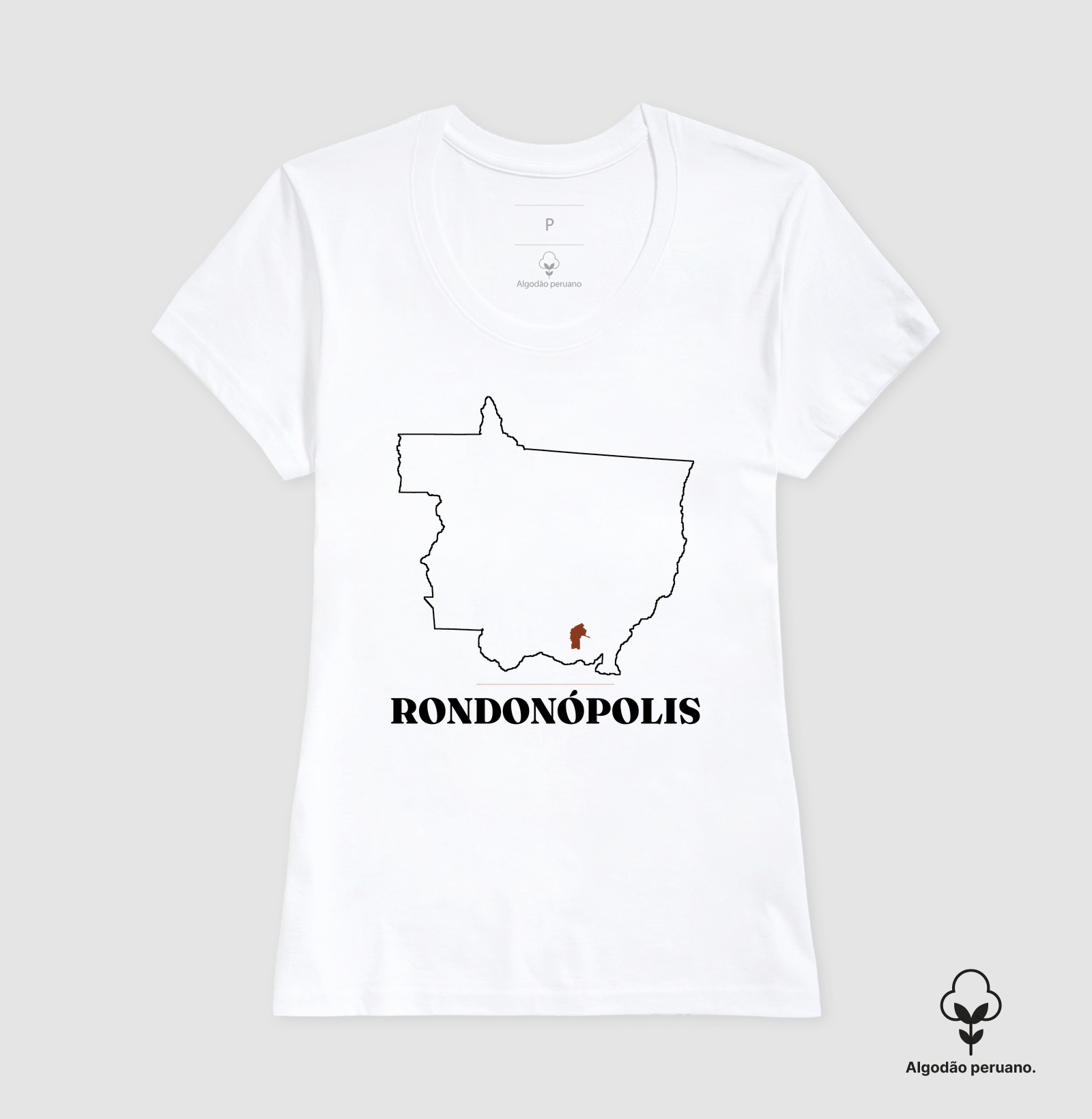 Rondonópolis | Traço MT - Imagem 6