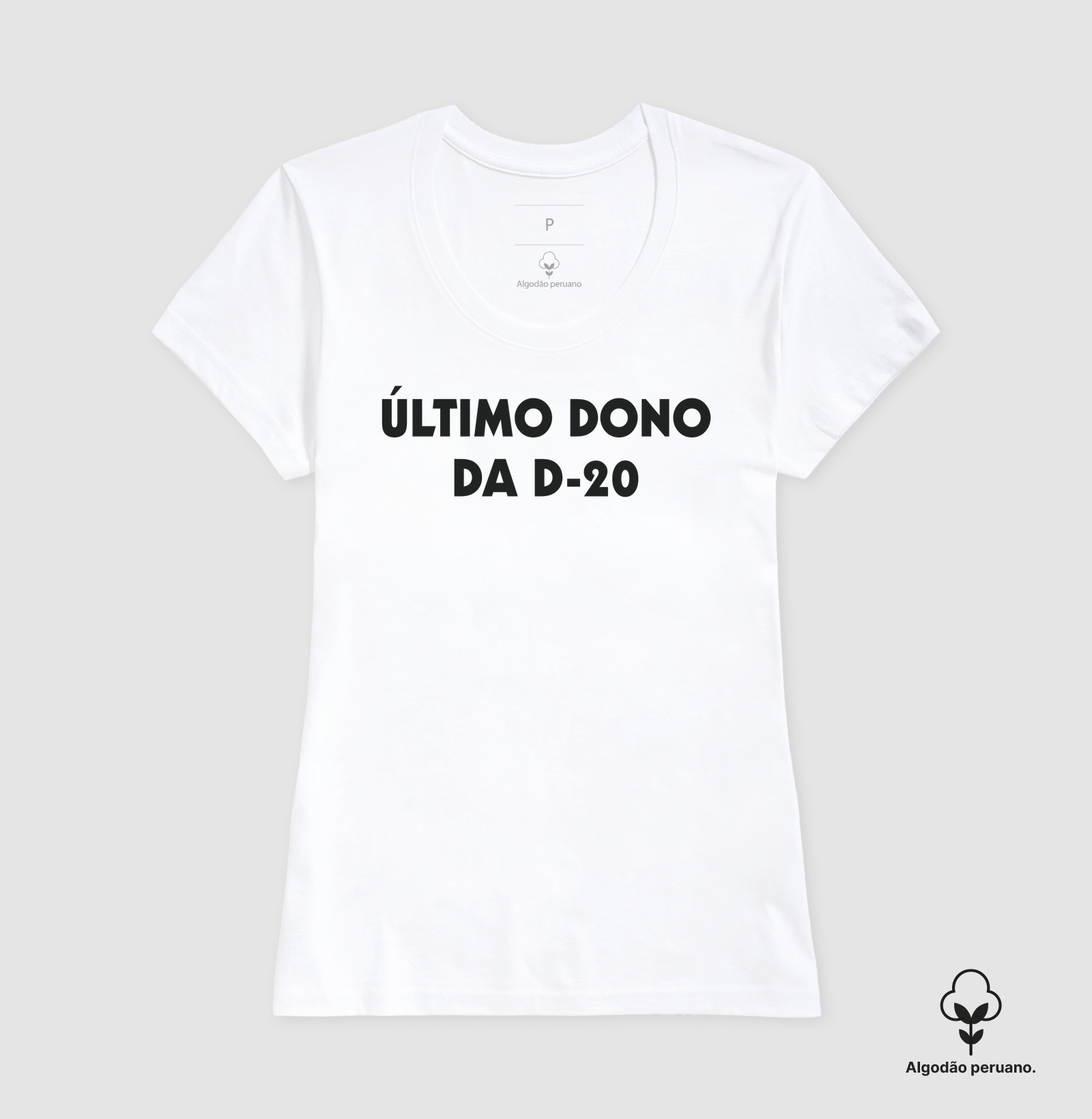 Último Dono da D-20... - Imagem 6