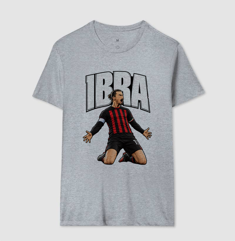 IBRA - Imagem 6