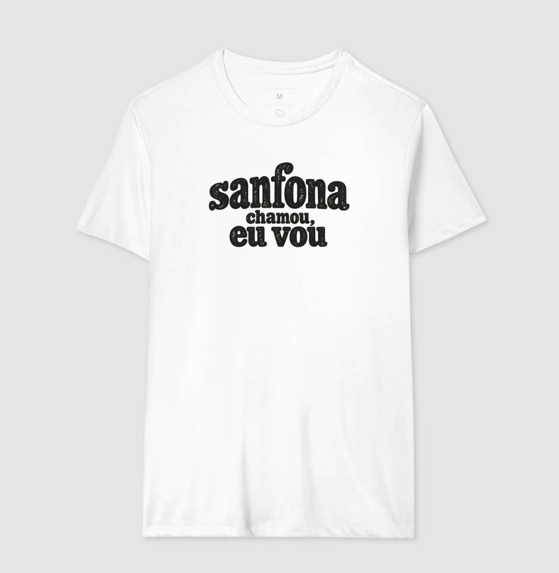 Sanfona chamou, eu vou - Imagem 4