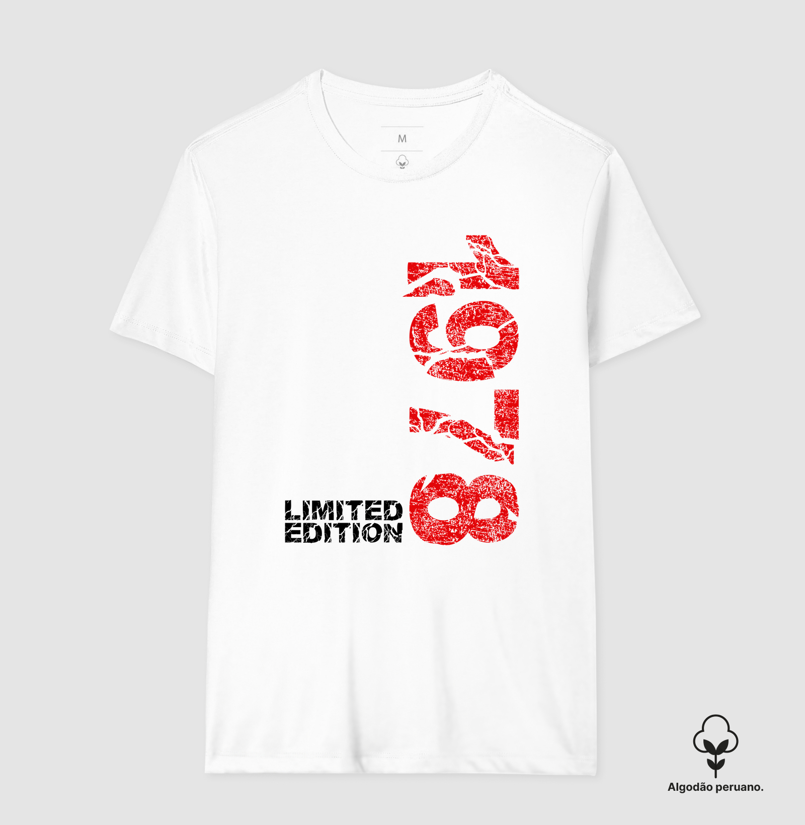 LMTD 1978 - Imagem 6