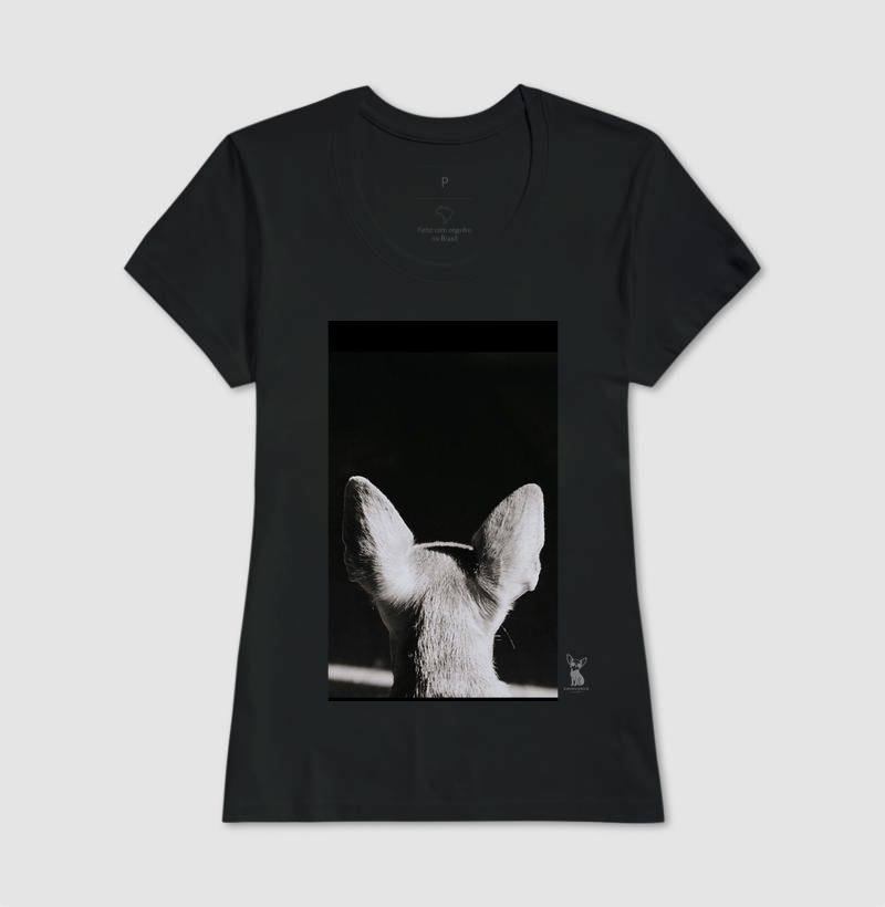 Chihuahua  - Imagem 3