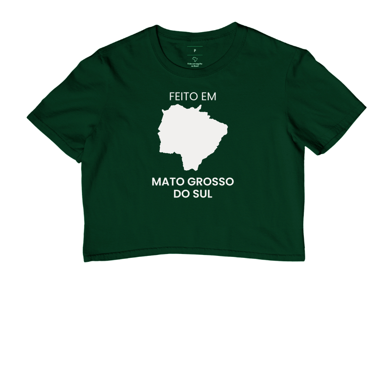 Feito em Mato Grosso do Sul - Imagem 5
