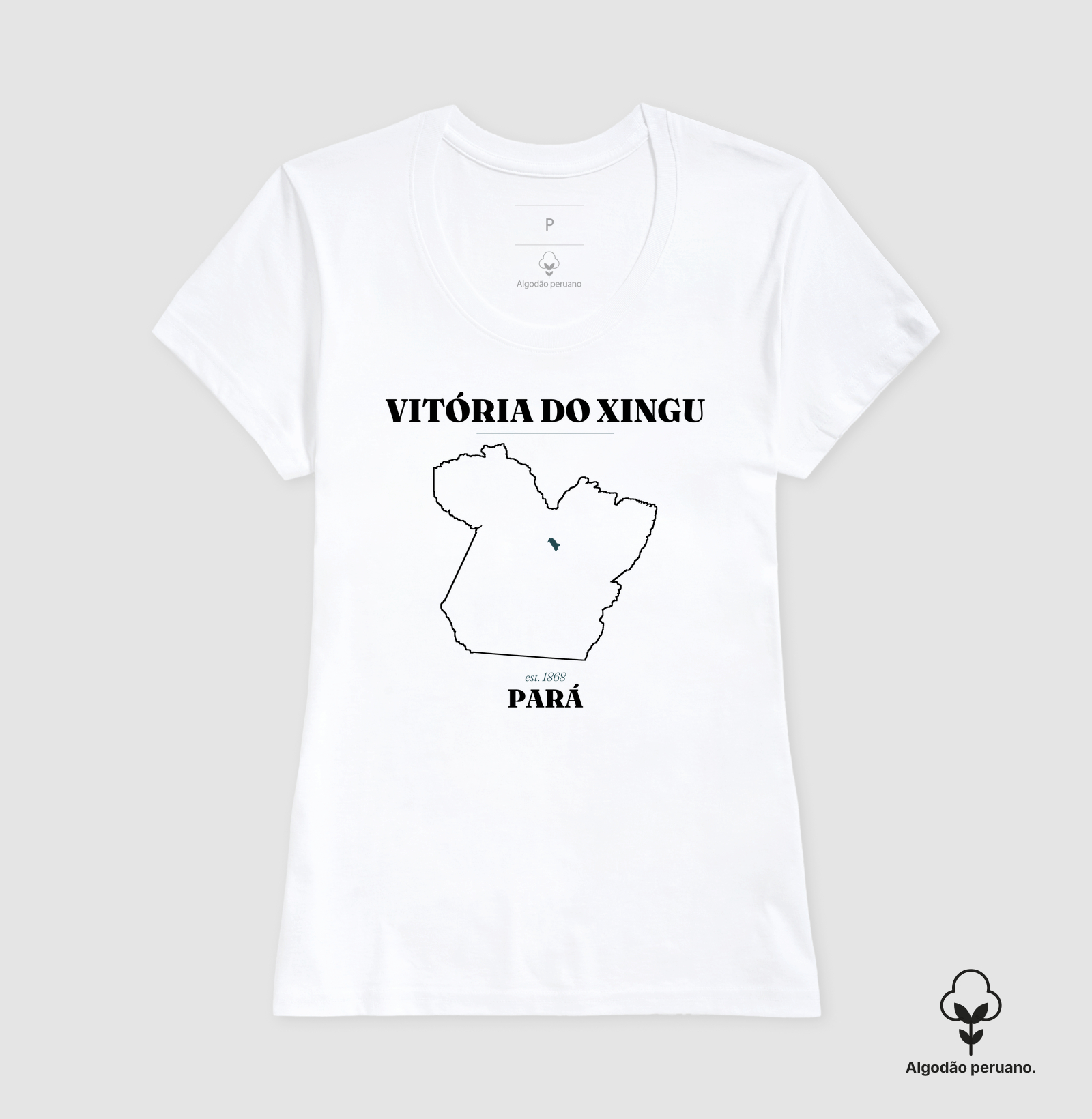Vitória do Xingu | Legado PA - Imagem 8