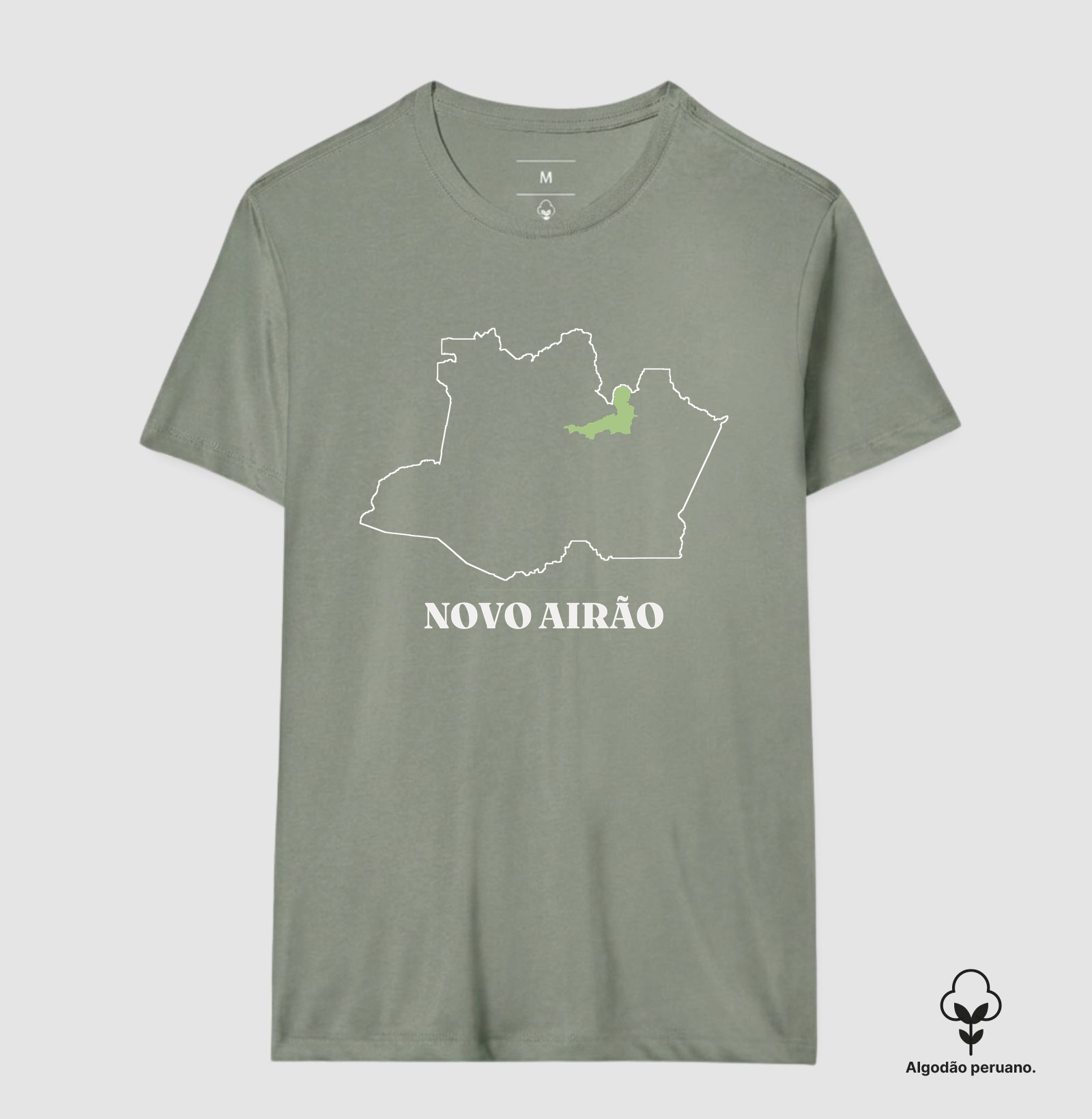 Novo Airão | Traço AM - Imagem 7