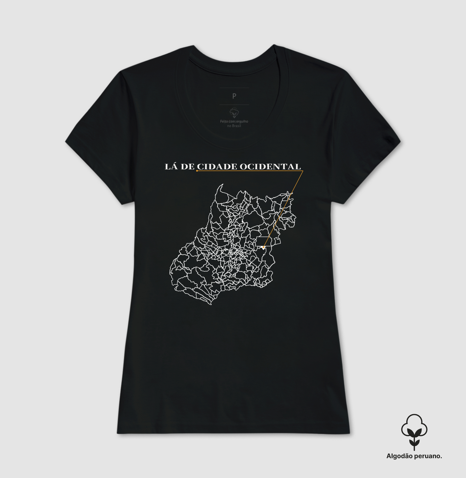 Cidade Ocidental | Origem GO - Imagem 6