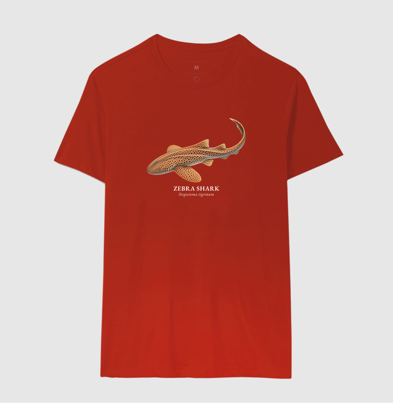Zebra Shark - Imagem 11