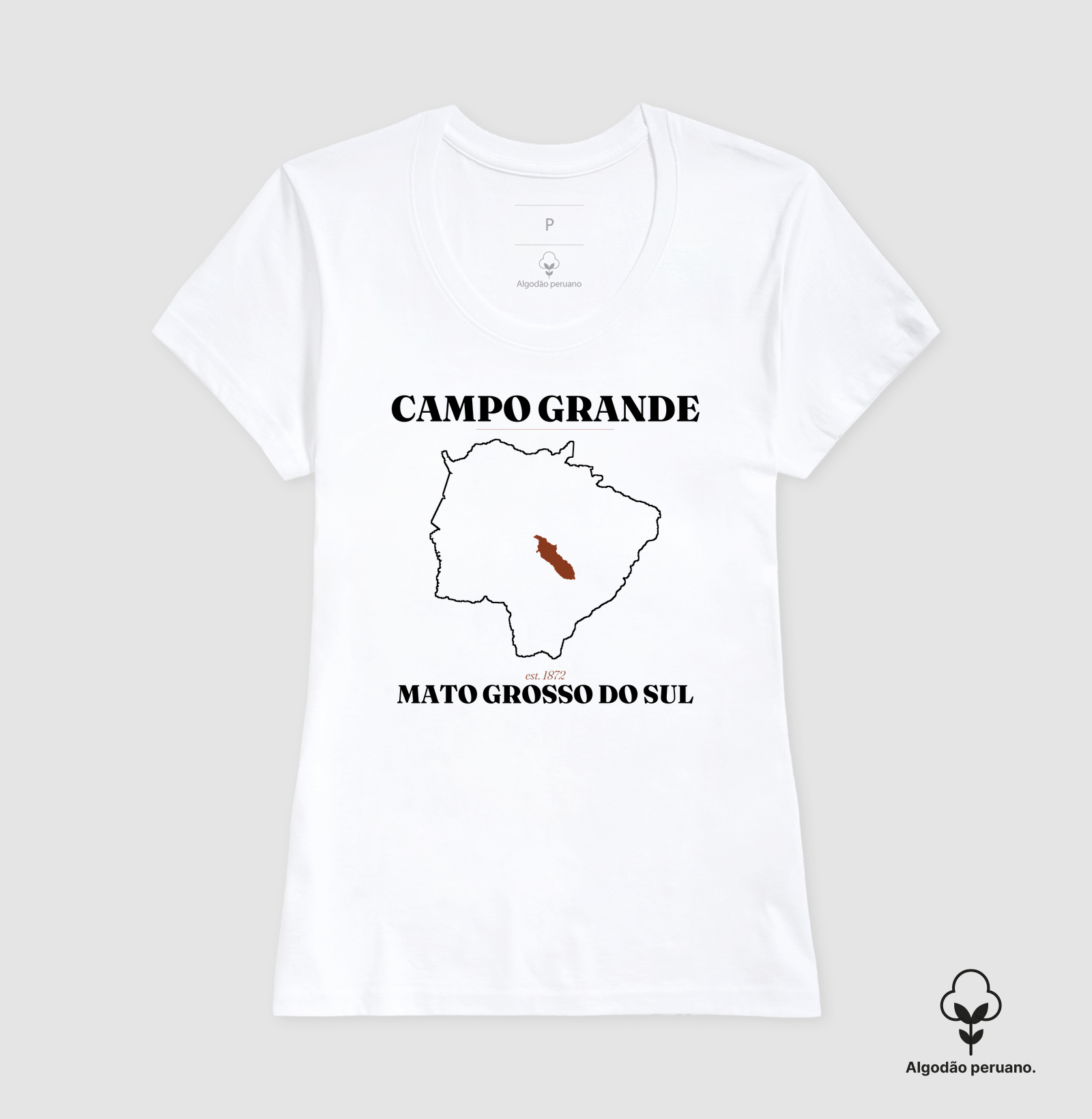 Campo Grande | Legado MS - Imagem 6