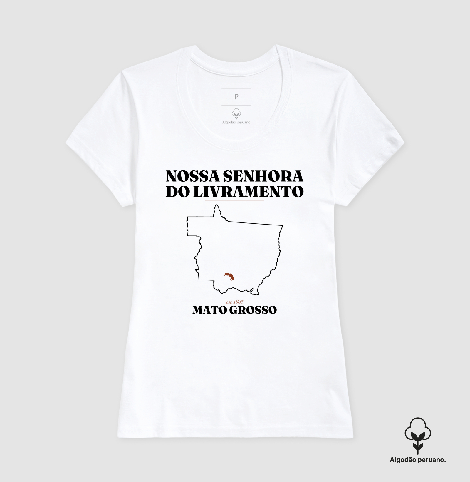 Nossa Senhora do Livramento | Legado MT - Imagem 7