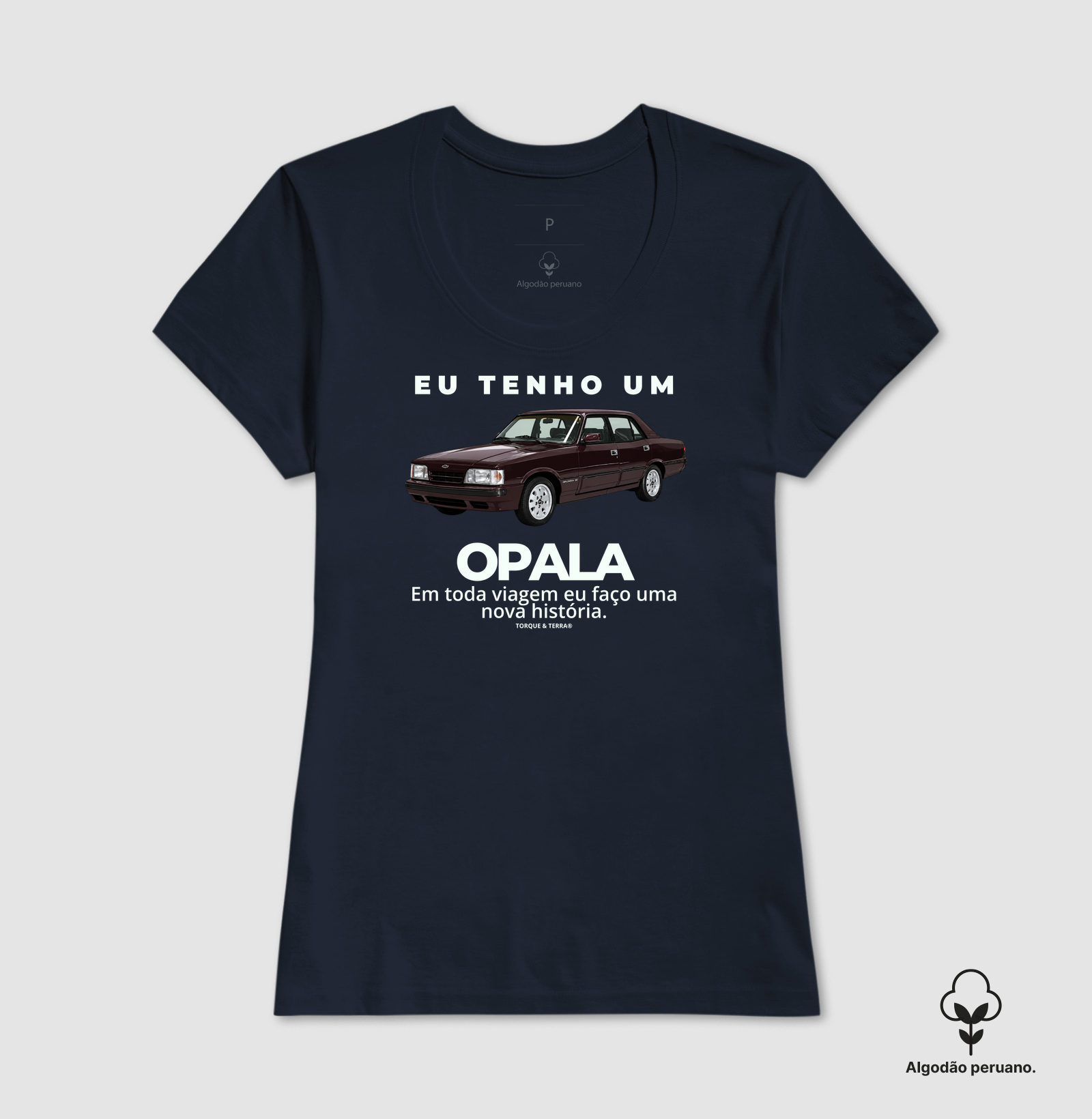 Eu tenho um Opala Diplomata vinho - Imagem 7