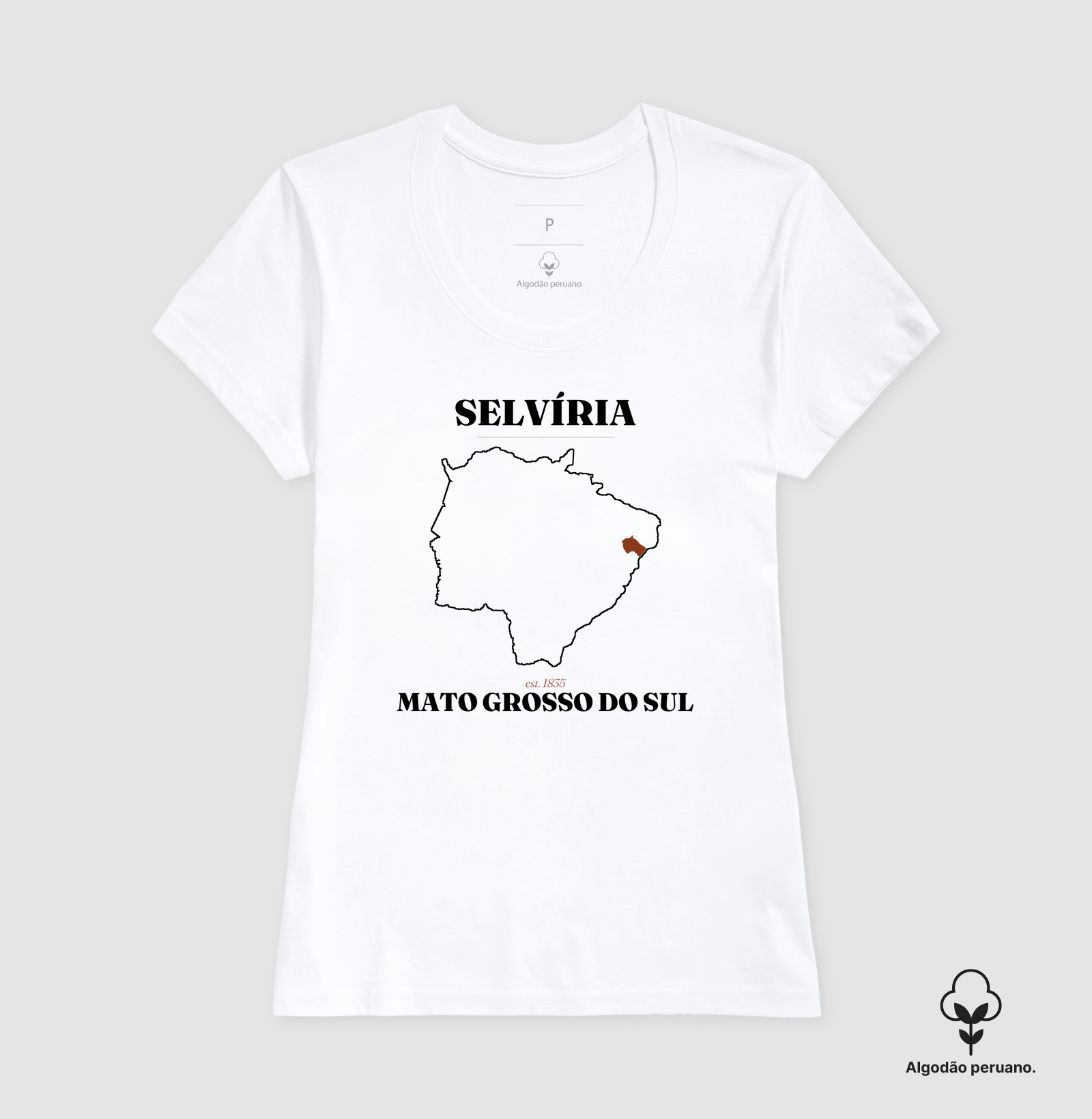 Selvíria | Legado MS - Imagem 4