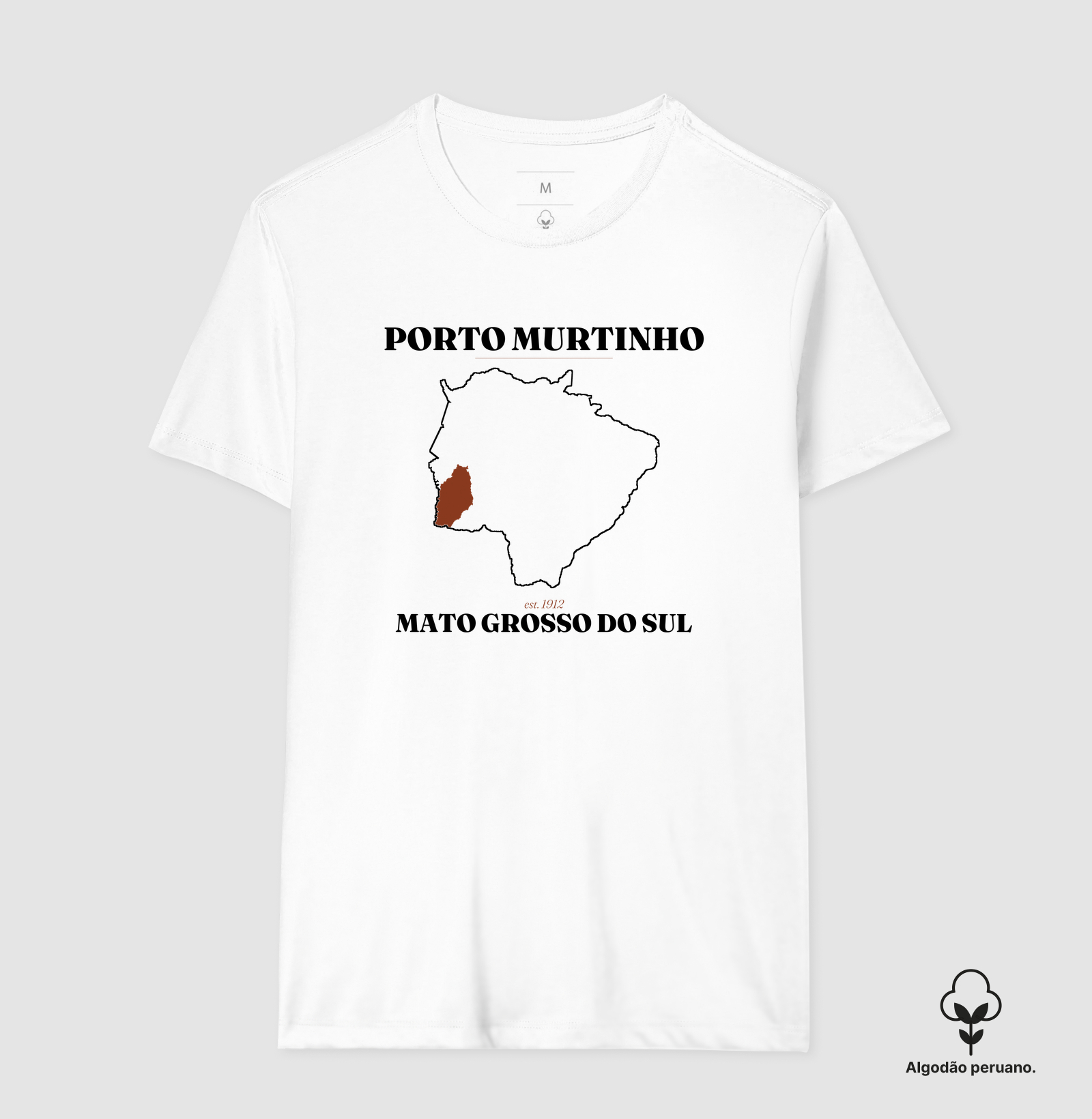 Porto Murtinho | Legado MS - Imagem 7
