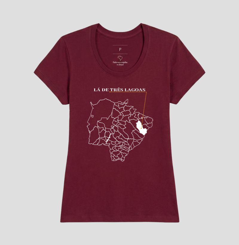 Três Lagoas | Origem MS - Imagem 19