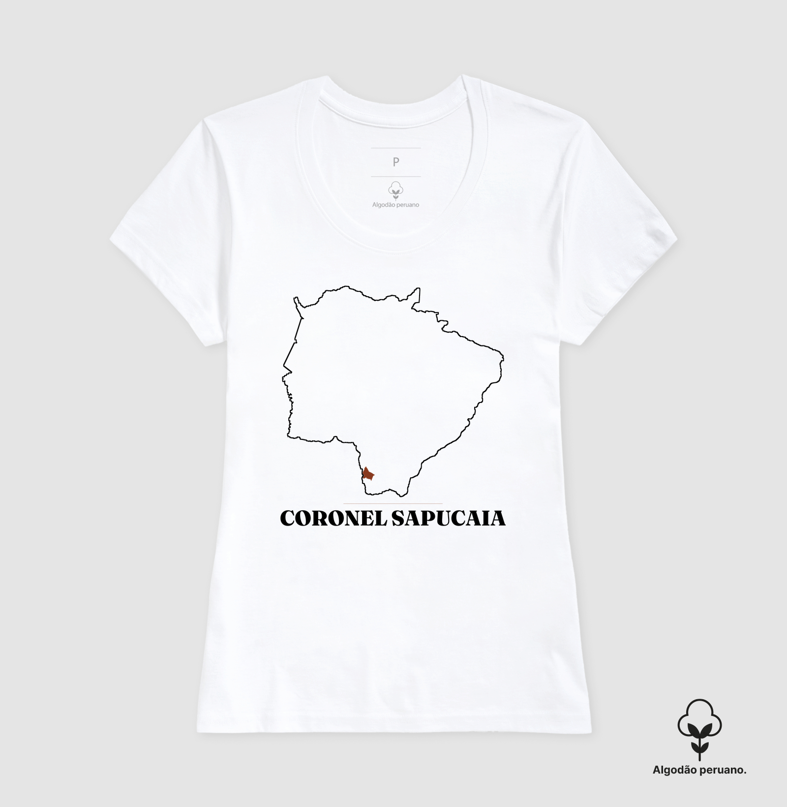 Coronel Sapucaia | Traço MS - Imagem 6