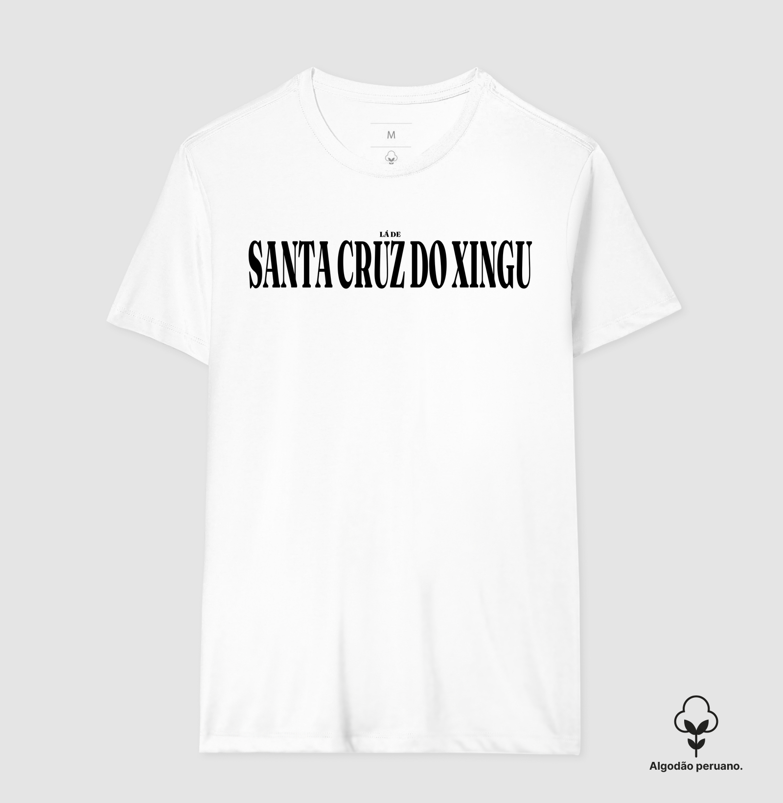 Santa Cruz do Xingu | Tipografia MT - Imagem 7