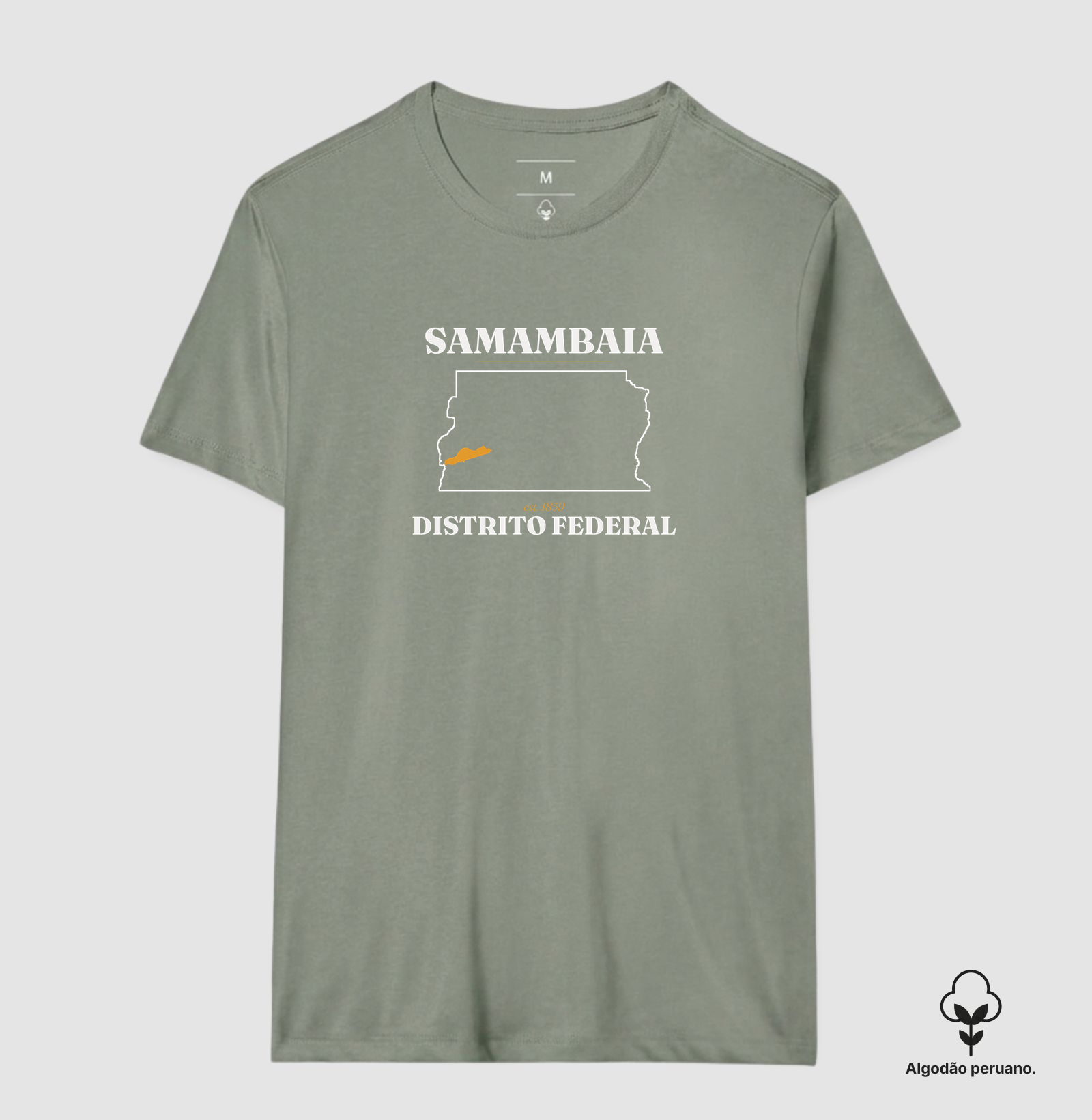 Samambaia | Legado DF - Imagem 5