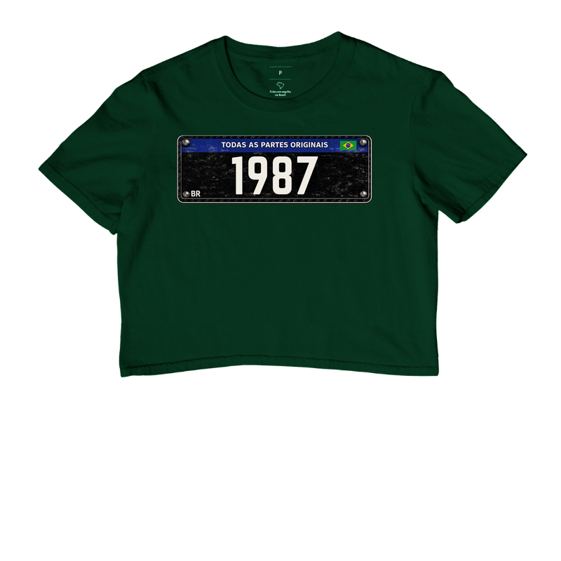 Placa Preta 1987 - Imagem 5