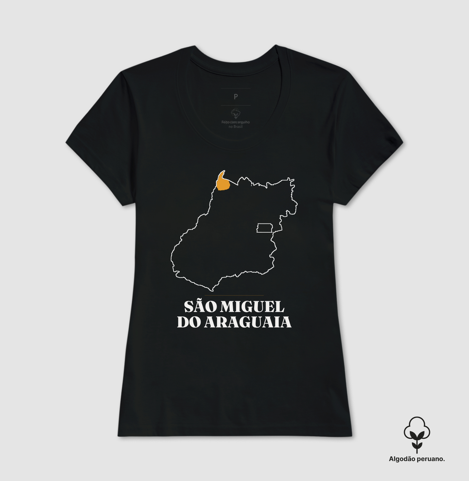 São Miguel do Araguaia | Traço GO - Imagem 5