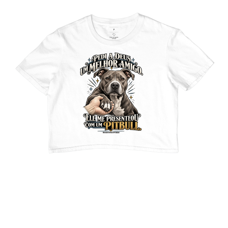 PEDI A DEUS UM MELHOR AMIGO E ELE ME PRESENTEOU COM UM PITBULL. - Imagem 3