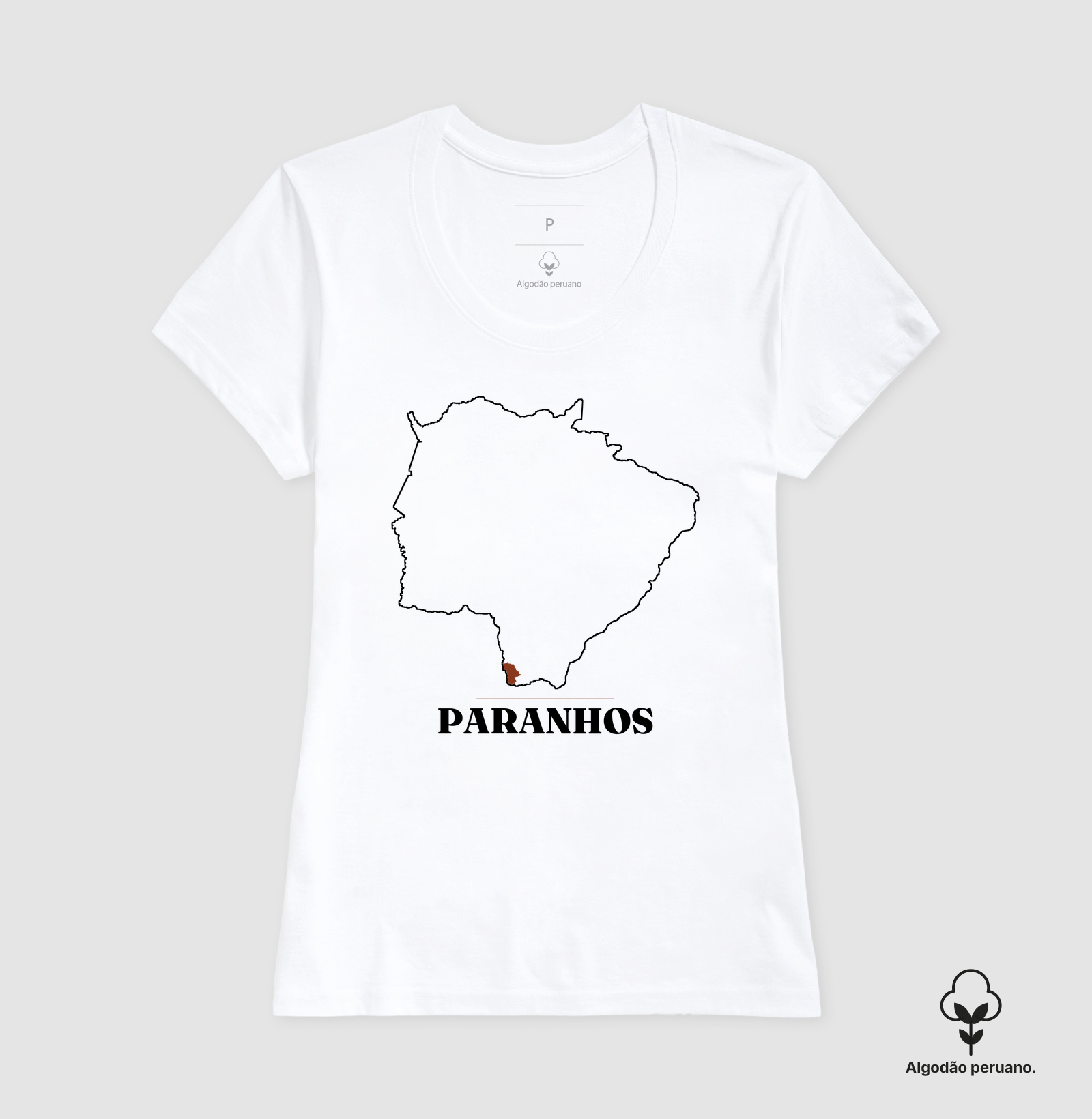 Paranhos | Traço MS - Imagem 5