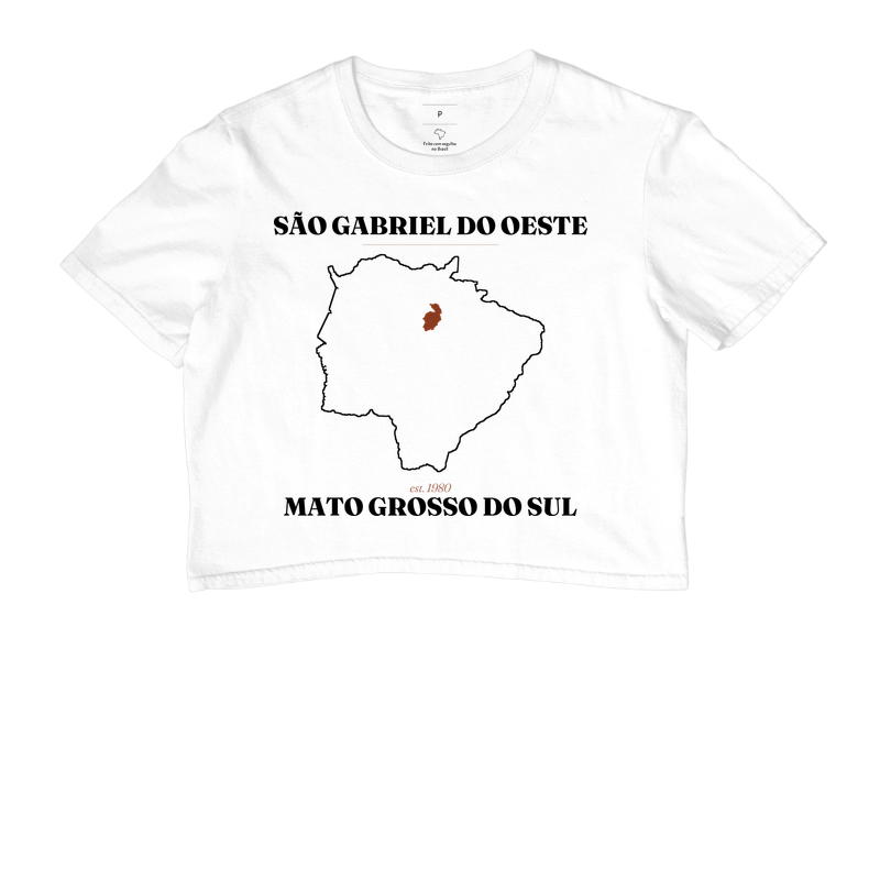 São Gabriel do Oeste | Legado MS - Imagem 3