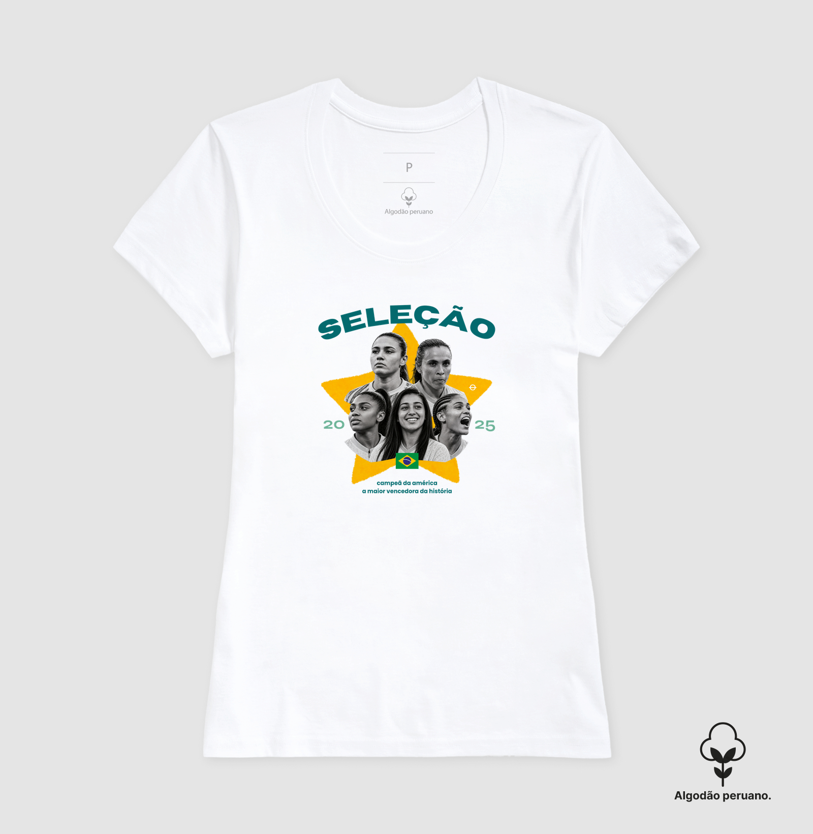 Seleção 2025 — Campeã da América - Imagem 3