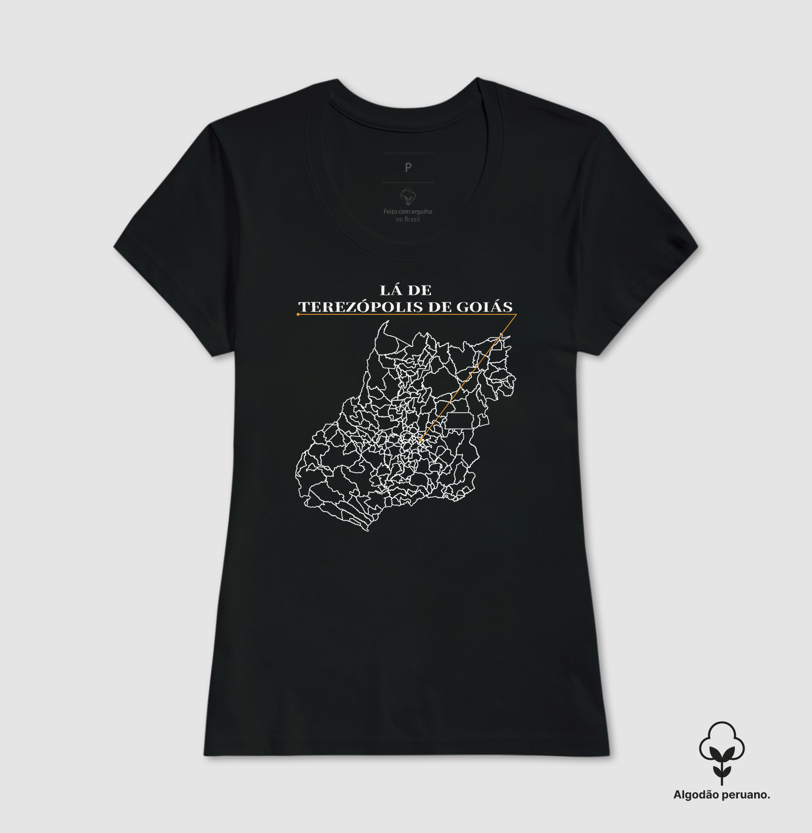 Terezópolis de Goiás | Origem GO - Imagem 6
