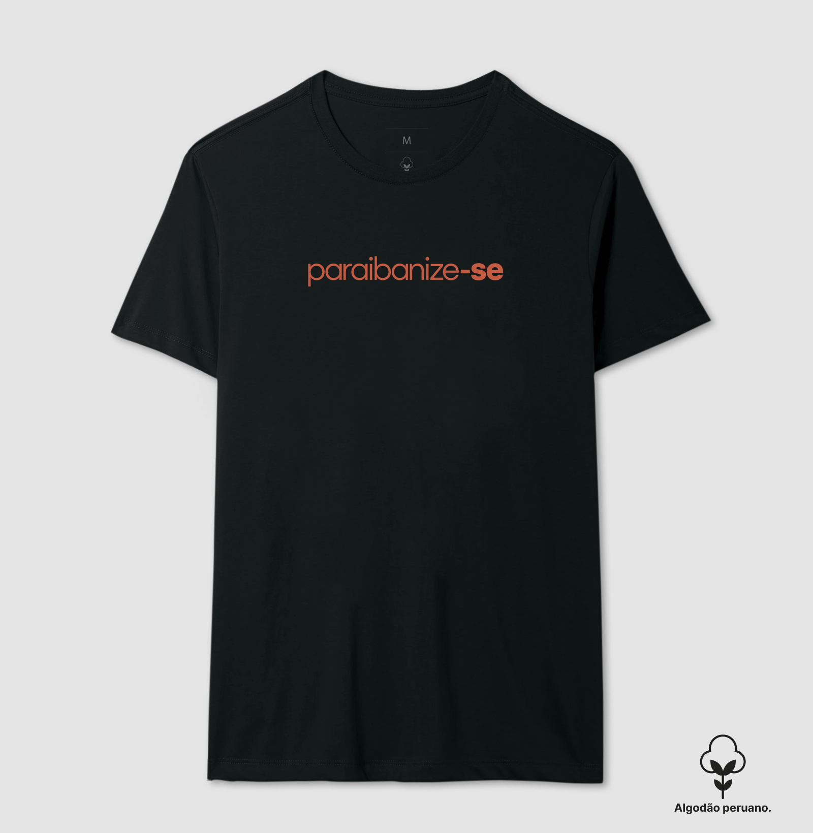 Paraibanize-se - Imagem 2
