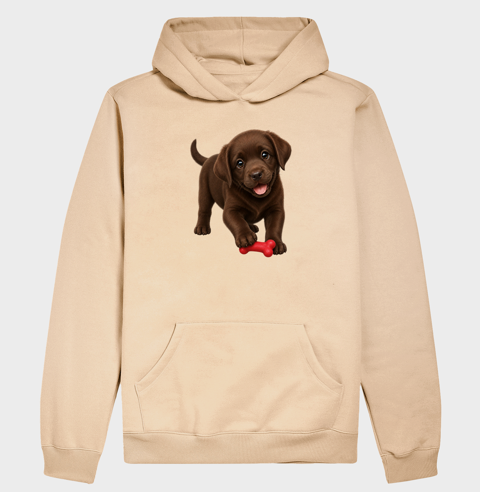 Labrador Chocolate - Desenho Animado - Imagem 5