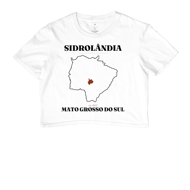 Sidrolândia | Legado MS - Imagem 3