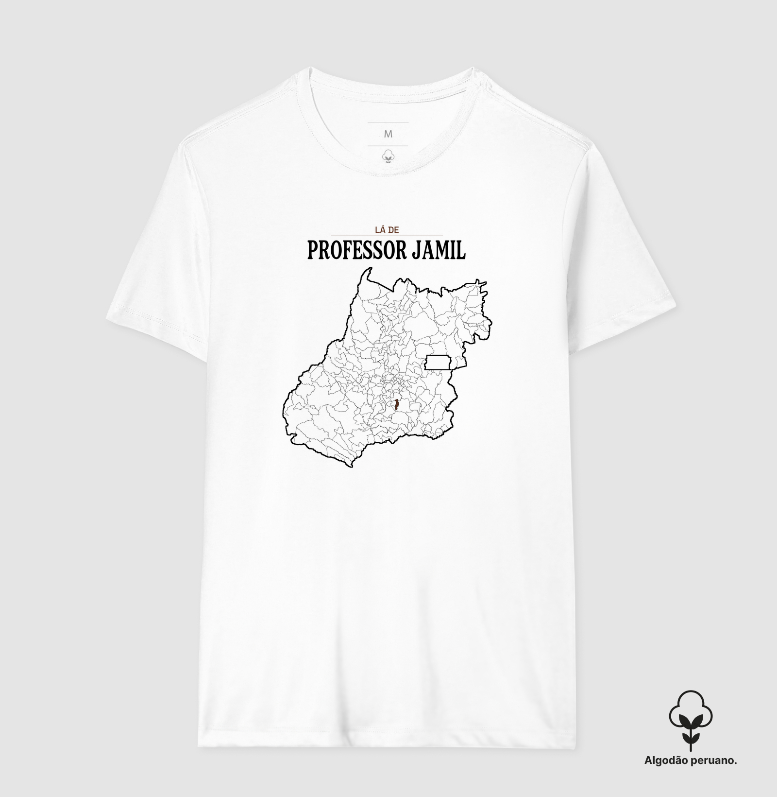 Professor Jamil | Território GO - Imagem 5