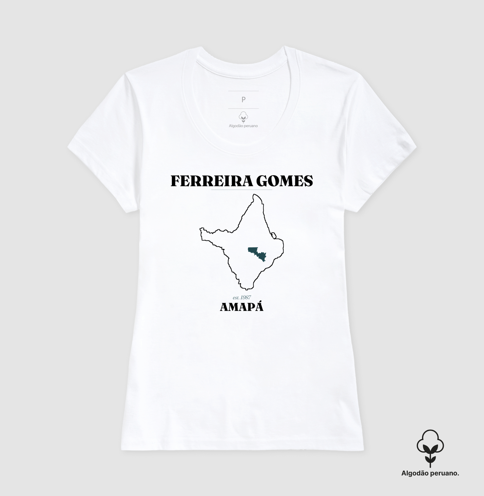 Ferreira Gomes | Legado AP - Imagem 5
