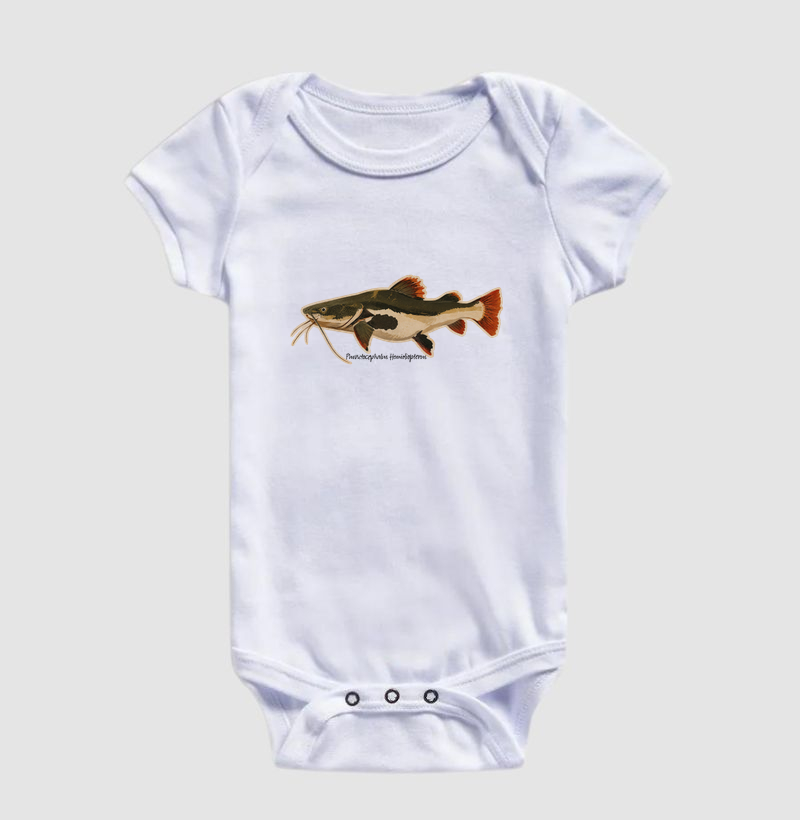 Pirarara 🐟 - Imagem 3