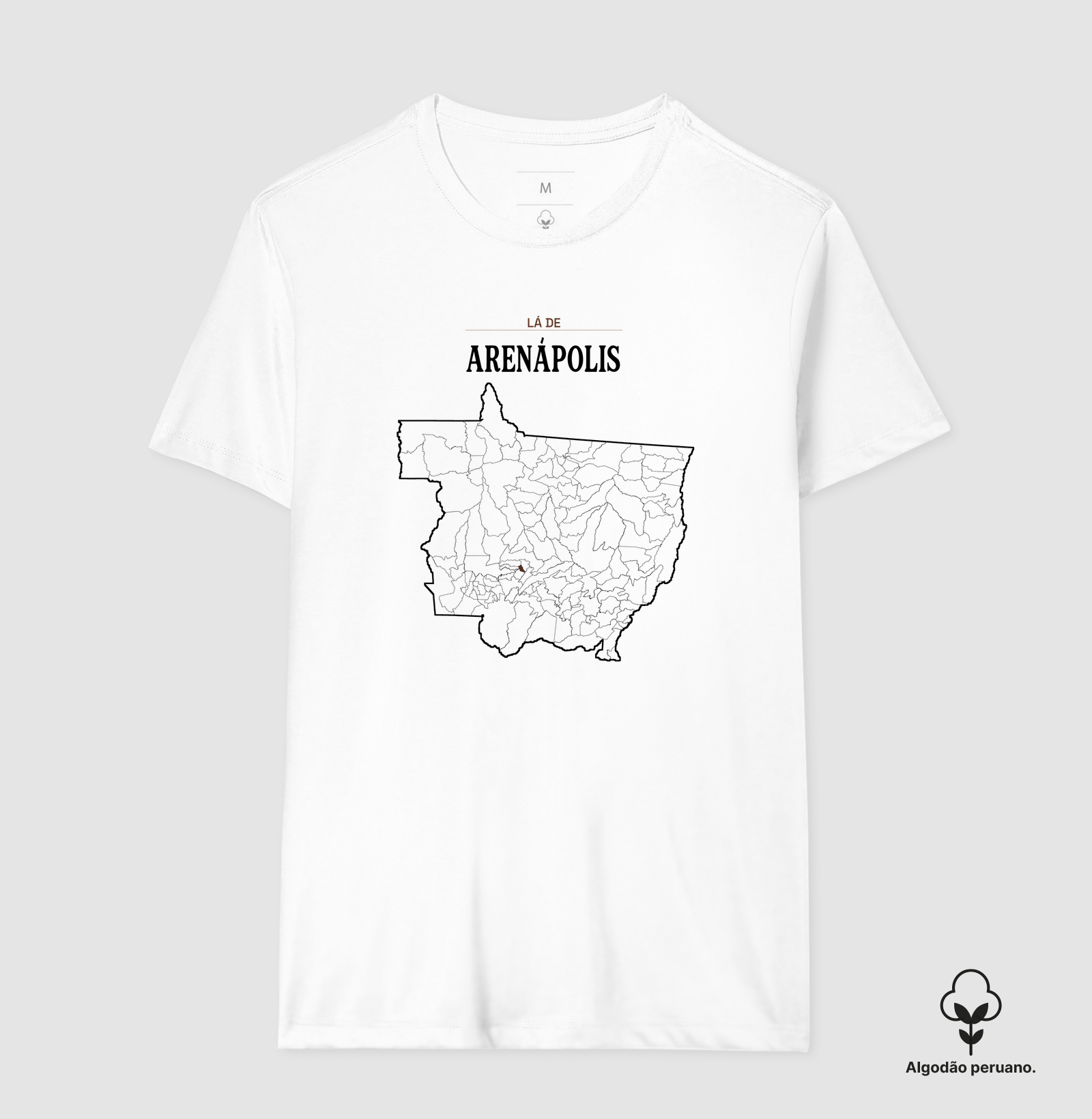 Arenápolis | Território MT - Imagem 3