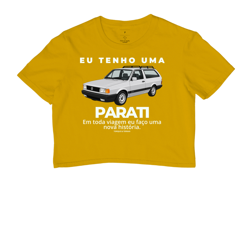 Eu tenho uma Parati prata - Imagem 8