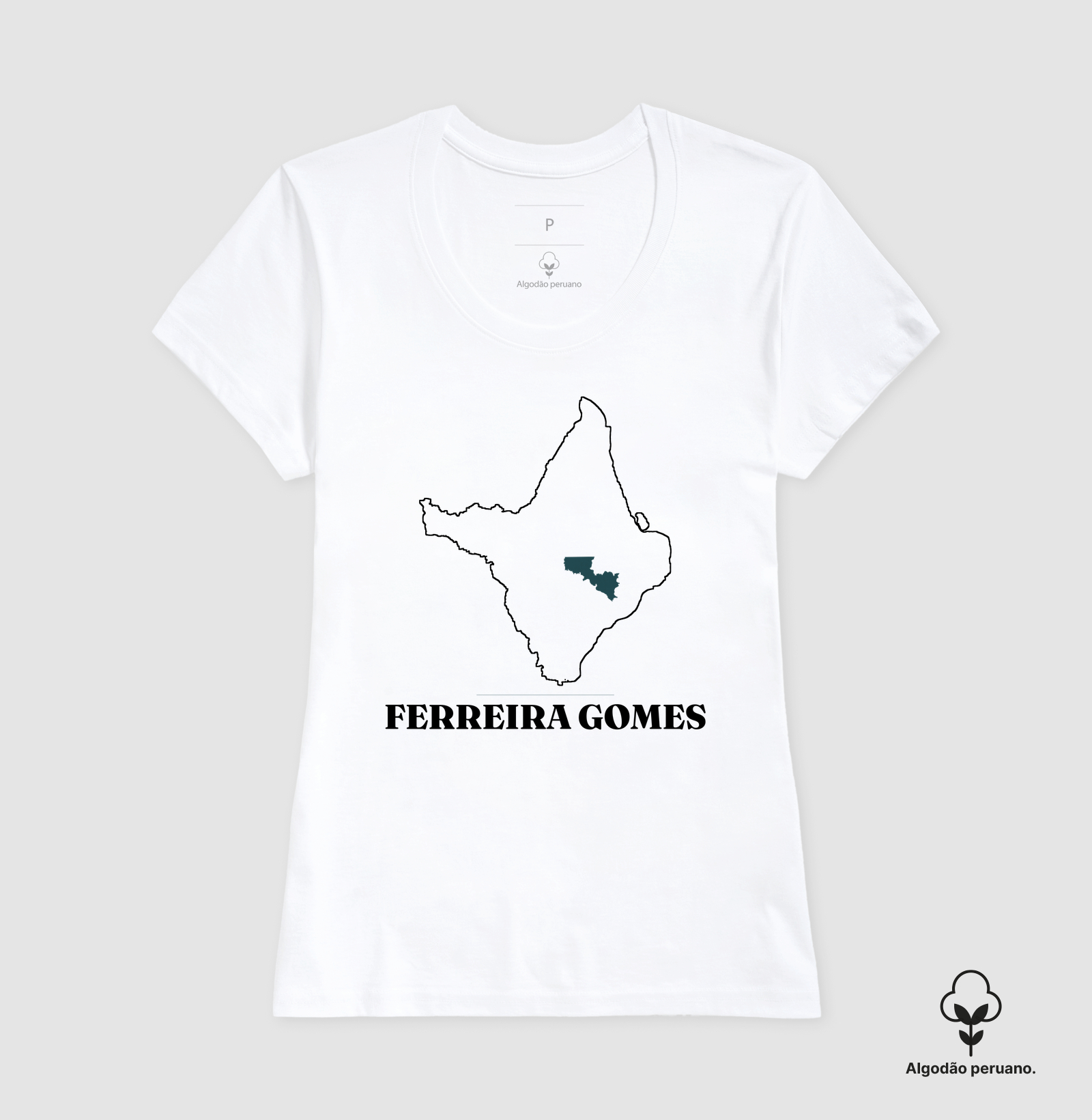 Ferreira Gomes | Traço AP - Imagem 3