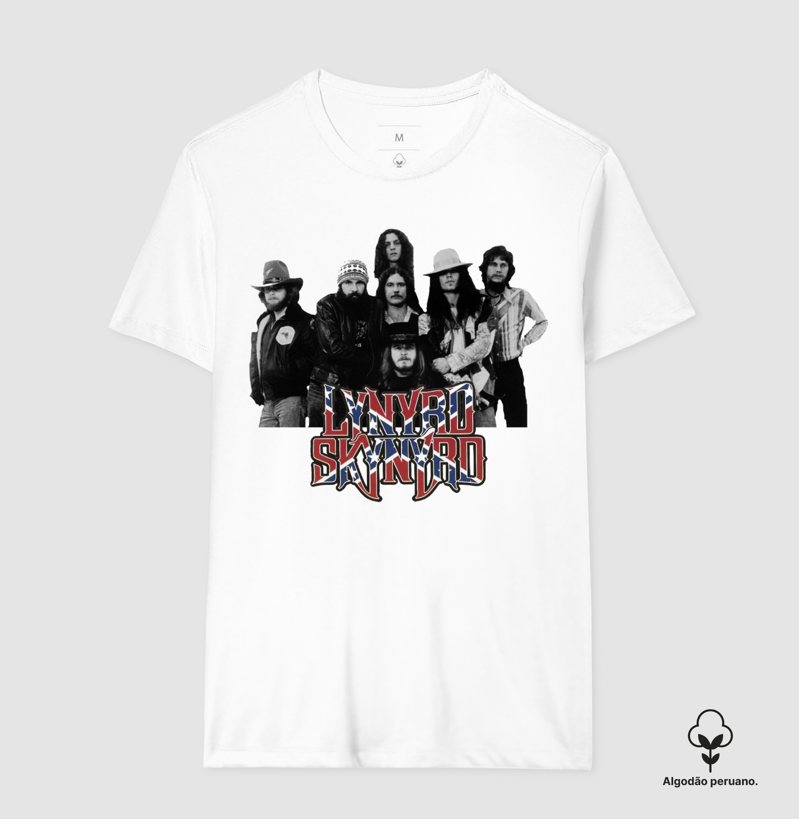 Lynyrd Skynyrd - Integrantes - Imagem 9