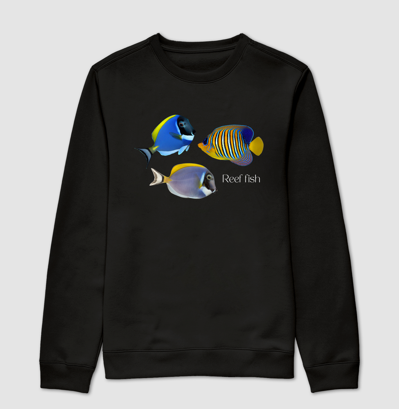 Reef Fish - Imagem 6