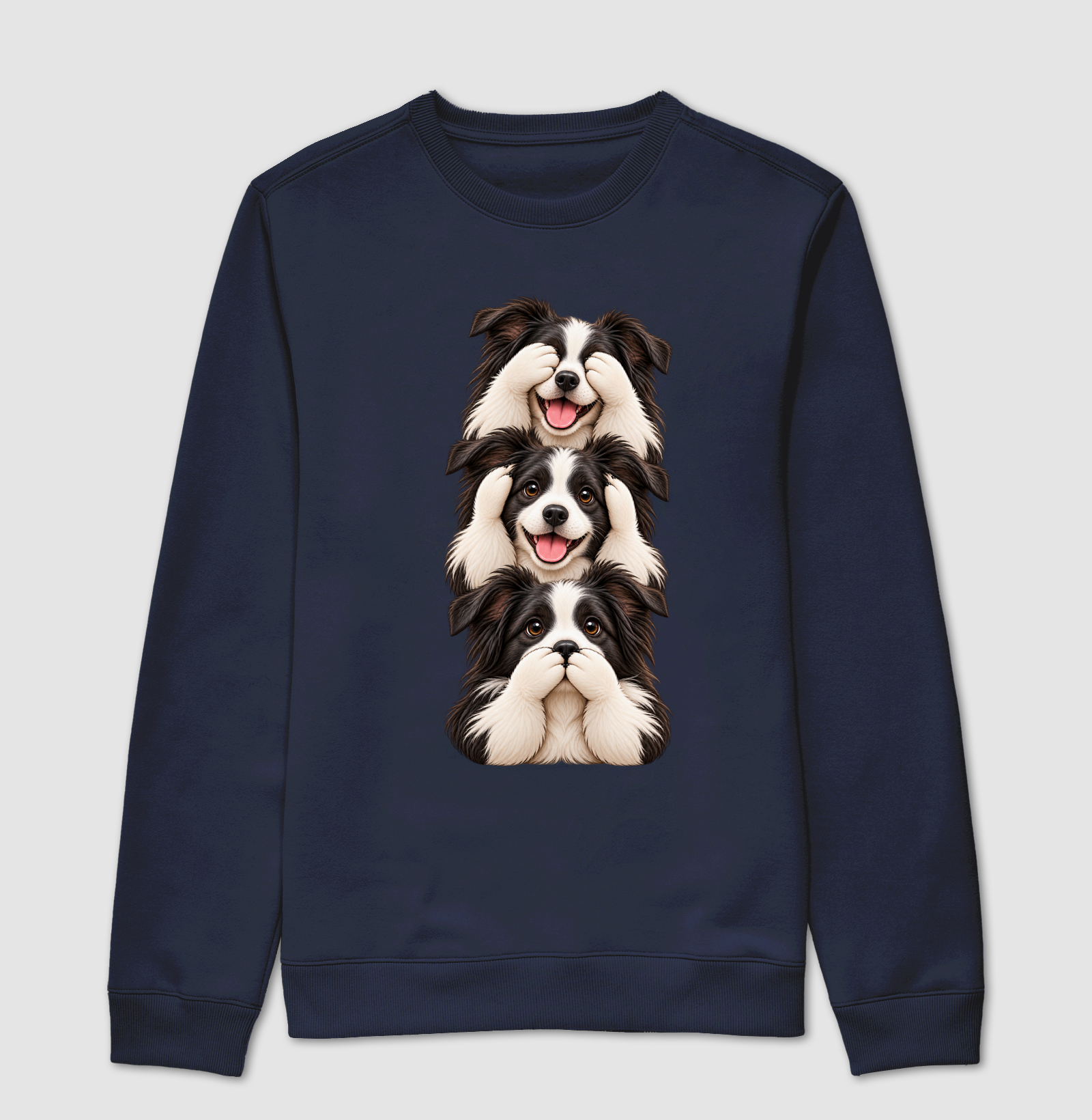 Ver, ouvir e falar Border Collie - Imagem 5