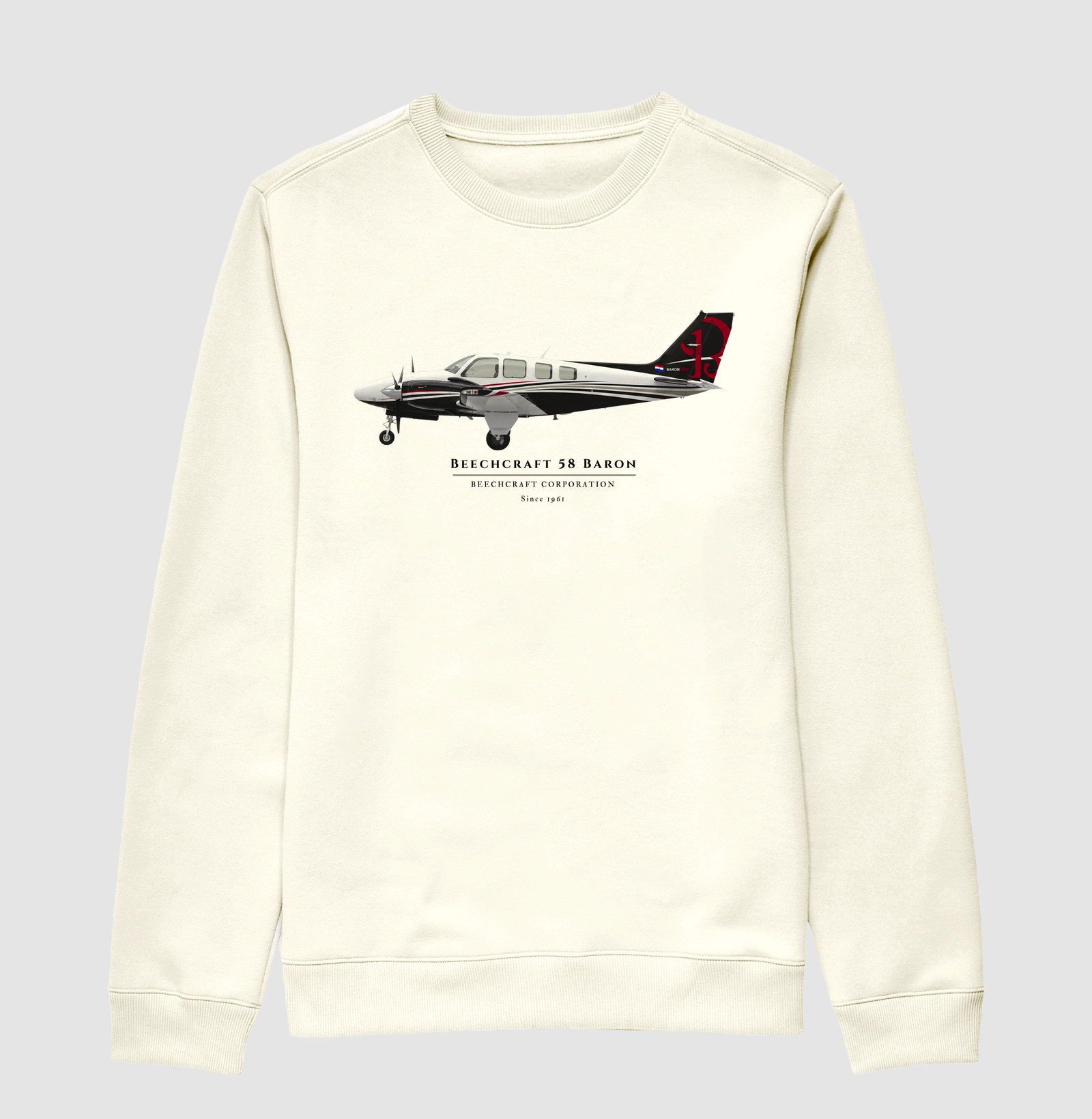 Beechcraft Baron 58 - Profile - Imagem 2