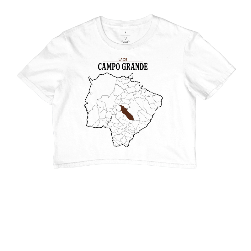 Campo Grande | Território MS - Imagem 3