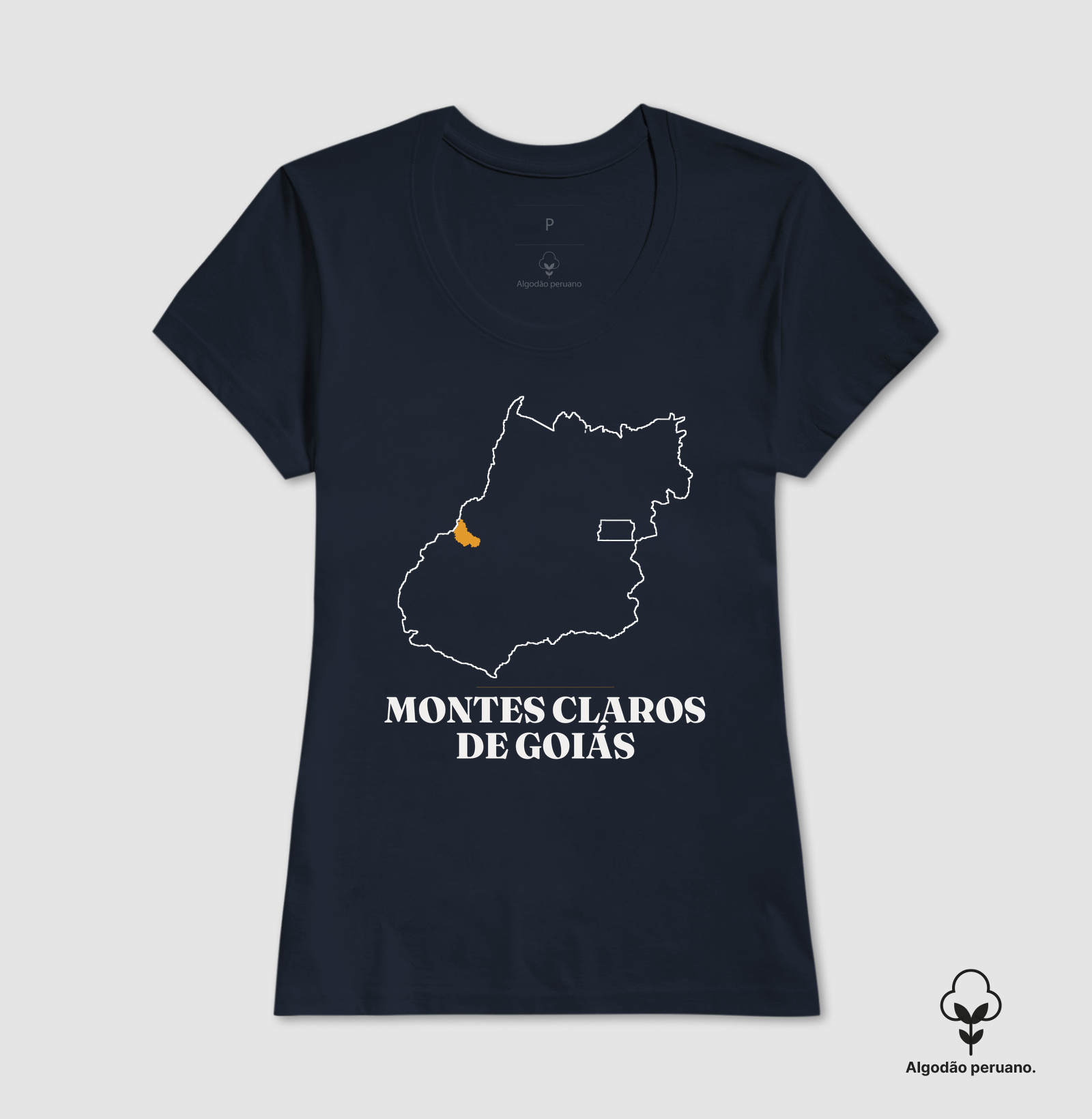 Montes Claros de Goiás | Traço GO - Imagem 8