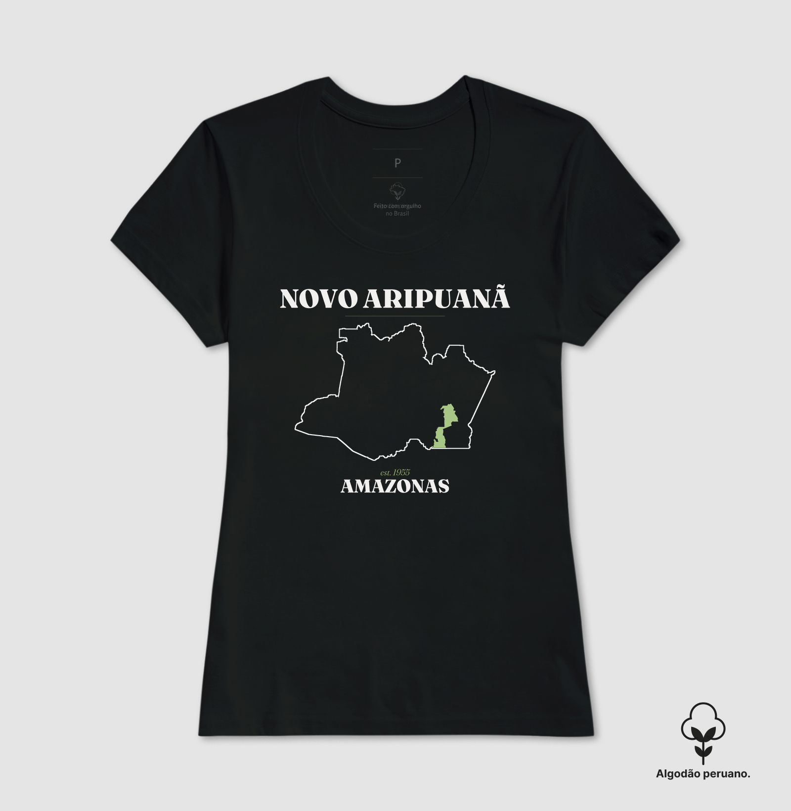 Novo Aripuanã | Legado AM - Imagem 3